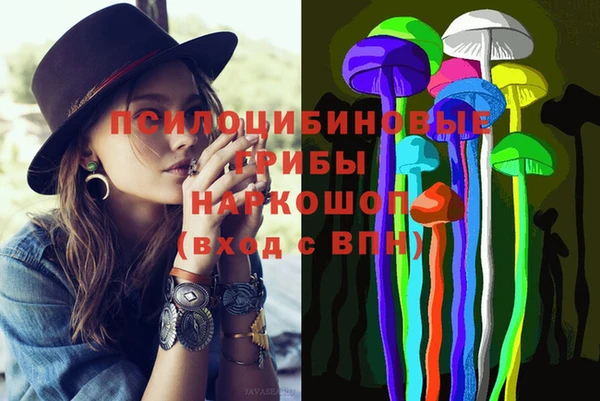 PSILOCYBIN Верхнеуральск